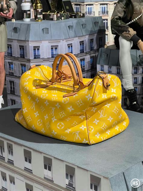 louis vuitton bags images 2013